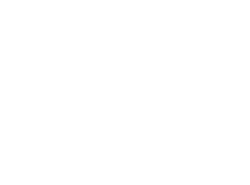 logo blanc miss 1